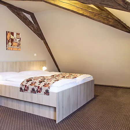 Hotel Palác U Kočků By Residences, Palace At The Cats 3*